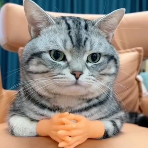 Meet your Posher, Ogunlade